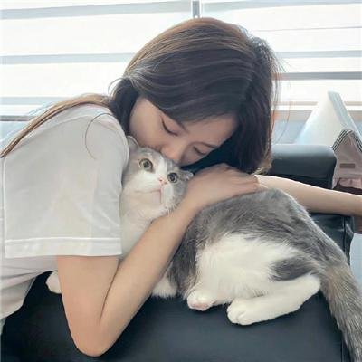 穹顶之下第三季